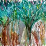 forest magic