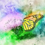 Watercolour butterfly